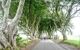 A road in the countryside with people walking in the daytime