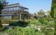 Botanical greenhouse amongst plants