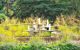 Fountain in gardens