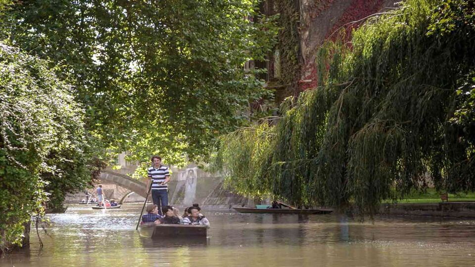Punting in summer on the river Cam