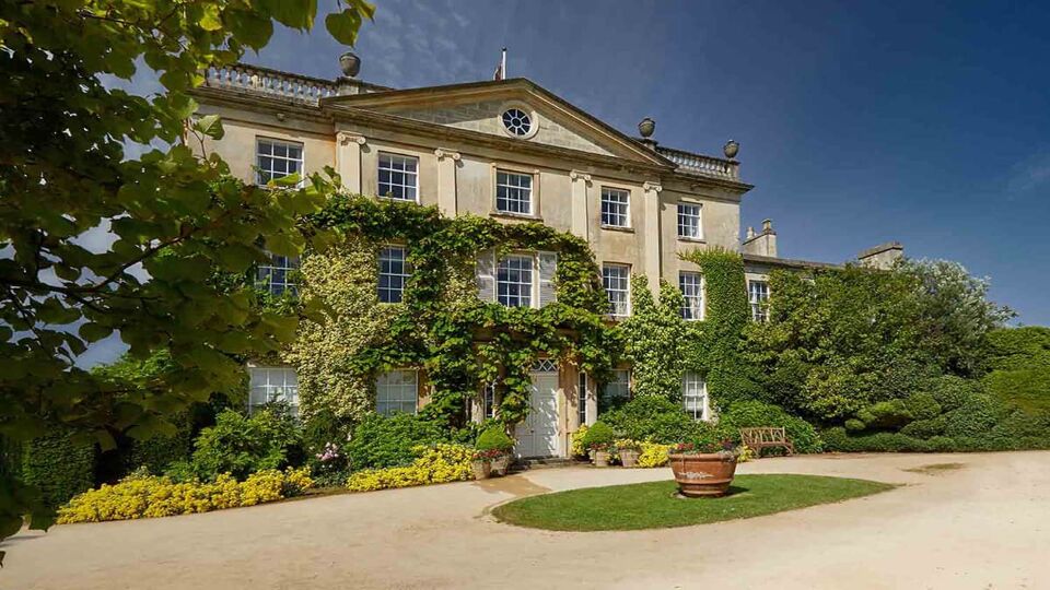 Exterior of the front of the house covered in shrubbery