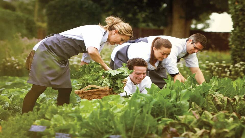 People on the cooking course collecting vegetables from the garden