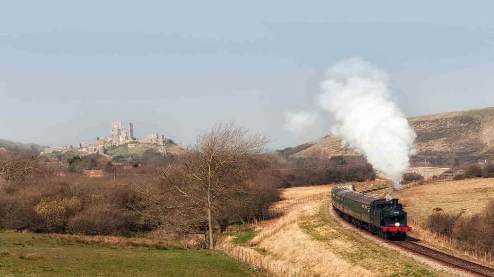 A steam train on the Swanage Railway Heritage Line steams past Corfe castle, surrounded by the wilderness of autumntrees