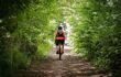 Male mountain biker seen following a forest path in early summer.