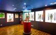 Inside the Liverpool FC Story, a museum dedicated to stars of the past to present, player profiles and videos of LFC heroes in action in historic moments