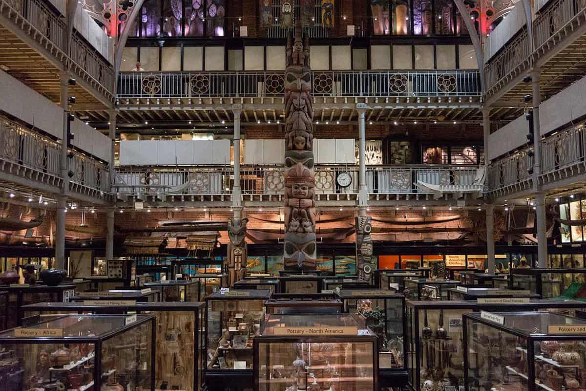 Inside the Pitt Rivers Museum. The room is full of glass display cabinets full of objects. A large totem pole rises from the centre of the room and there are several floors visible.
