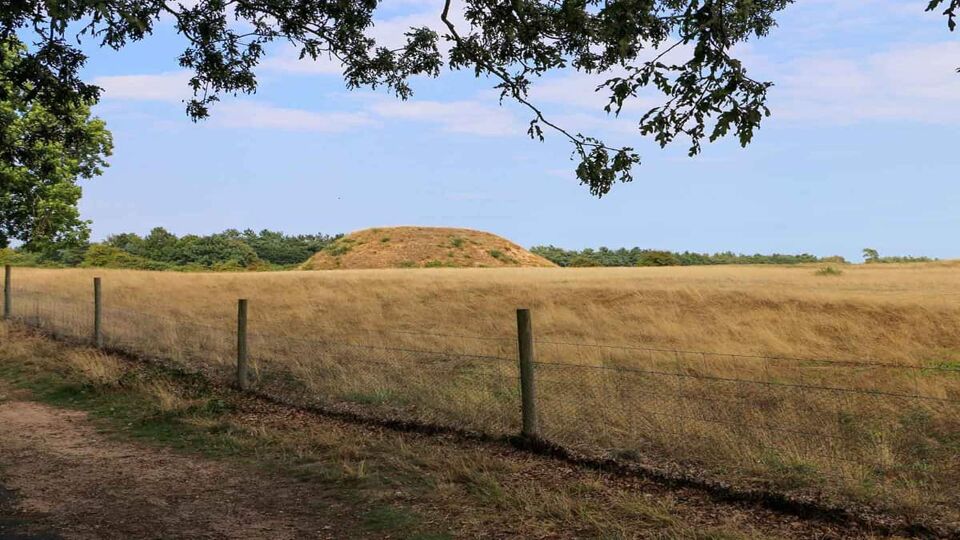 View of the burial mound at Sutton Hoo during a sunset