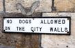 A sign reading "No dogs allowed the city walls."