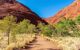 Path along The Valley of the Winds in the red heart of Australia