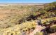 People hike down a cliff edge at Kings Canyon in Northern Territory, Australia