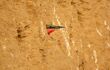 A colourful bird spotted on the Zambezi
