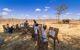 A group of people painting on canvases at the elephant sanctuary