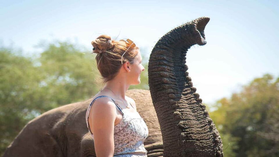 Woman with a playful elephant raising its trunk