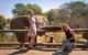 Two woman observing an elephant