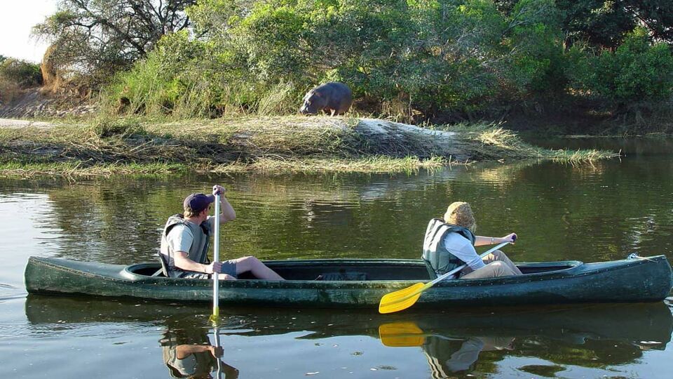 A couple canoeing on the Zambezi river