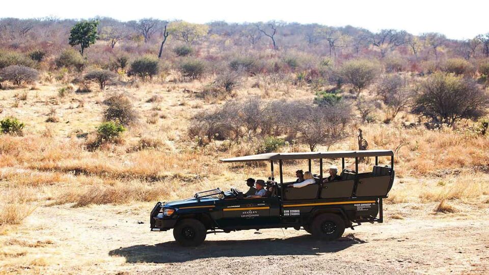 A jeep on safari