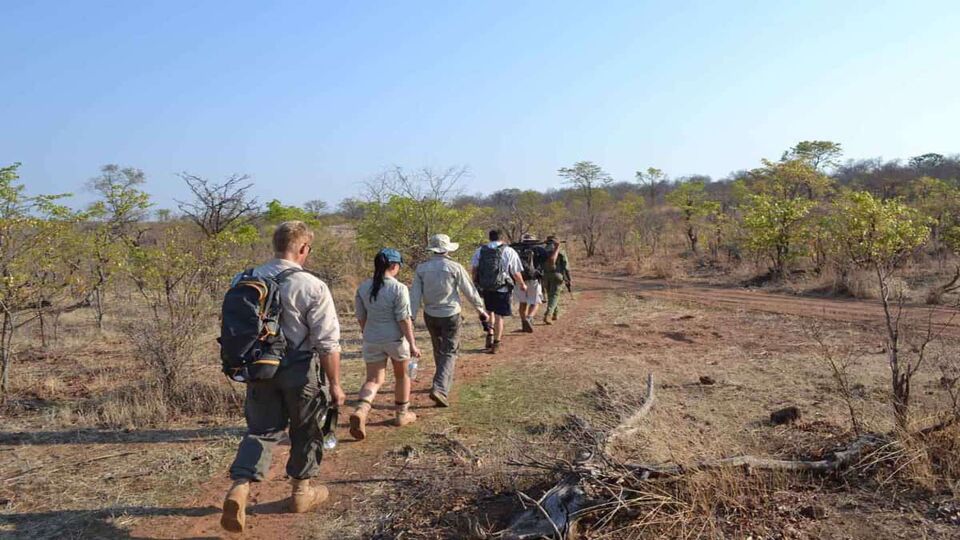 People on foot on safari