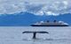 Humpback whale tail sticking out of water, cruise ship behind