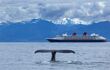 Humpback whale tail sticking out of water, cruise ship behind