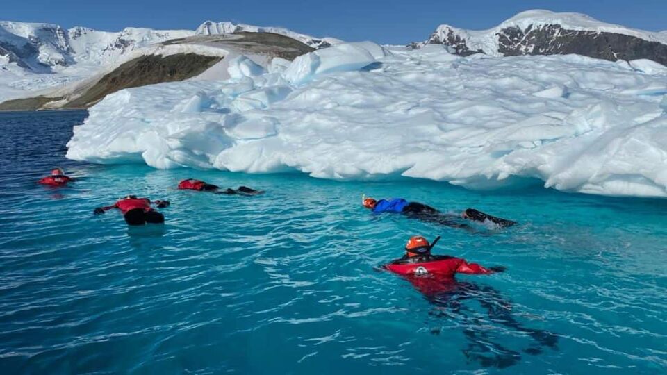 People swimming and snorkelling in thermal suits