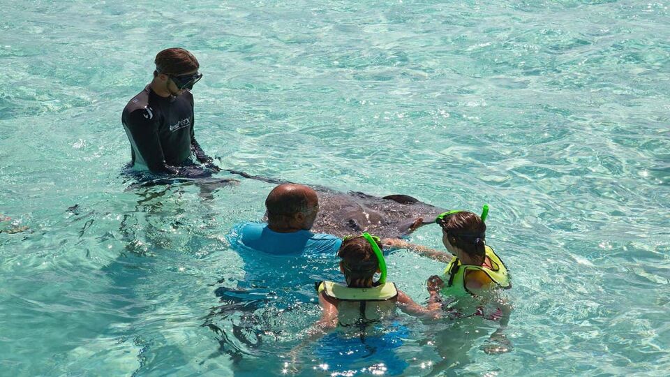 small group surround and hold a stingray in the water
