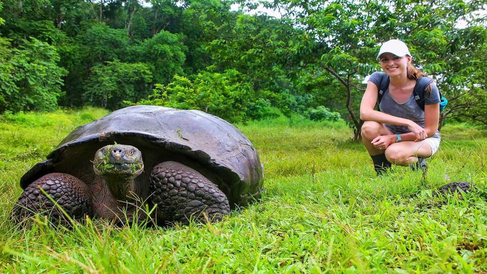 girl sitting near giant tortoise