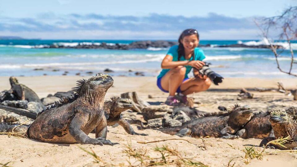 Girl on beach sitting near some iguanas