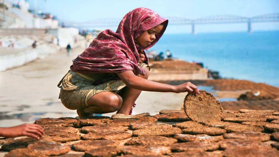 small girl with about 20 dung cakes in front of her
