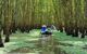local people travelling by canoe through a flooded forest