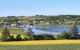 fields of yellow rapeseed and a pretty estuary