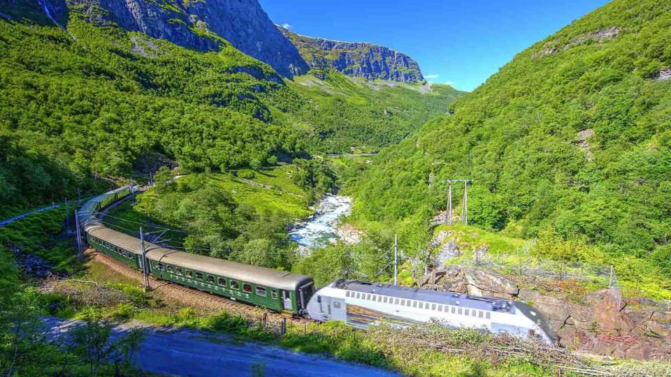 green train passing through a forested valley
