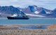 cruise ship sailing past sea puddle full of kittiwakes