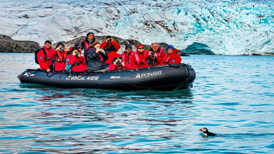 small dingy with passengers looking at a puffin swimming by