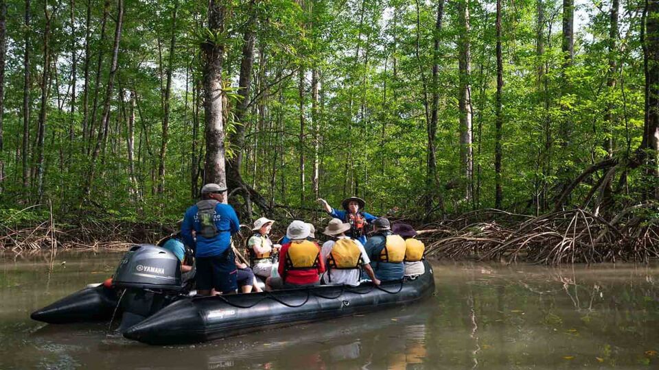 small tour group taking a cruise up a rainforest river