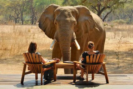 36 Best safari camps and lodges for unforgettable safaris