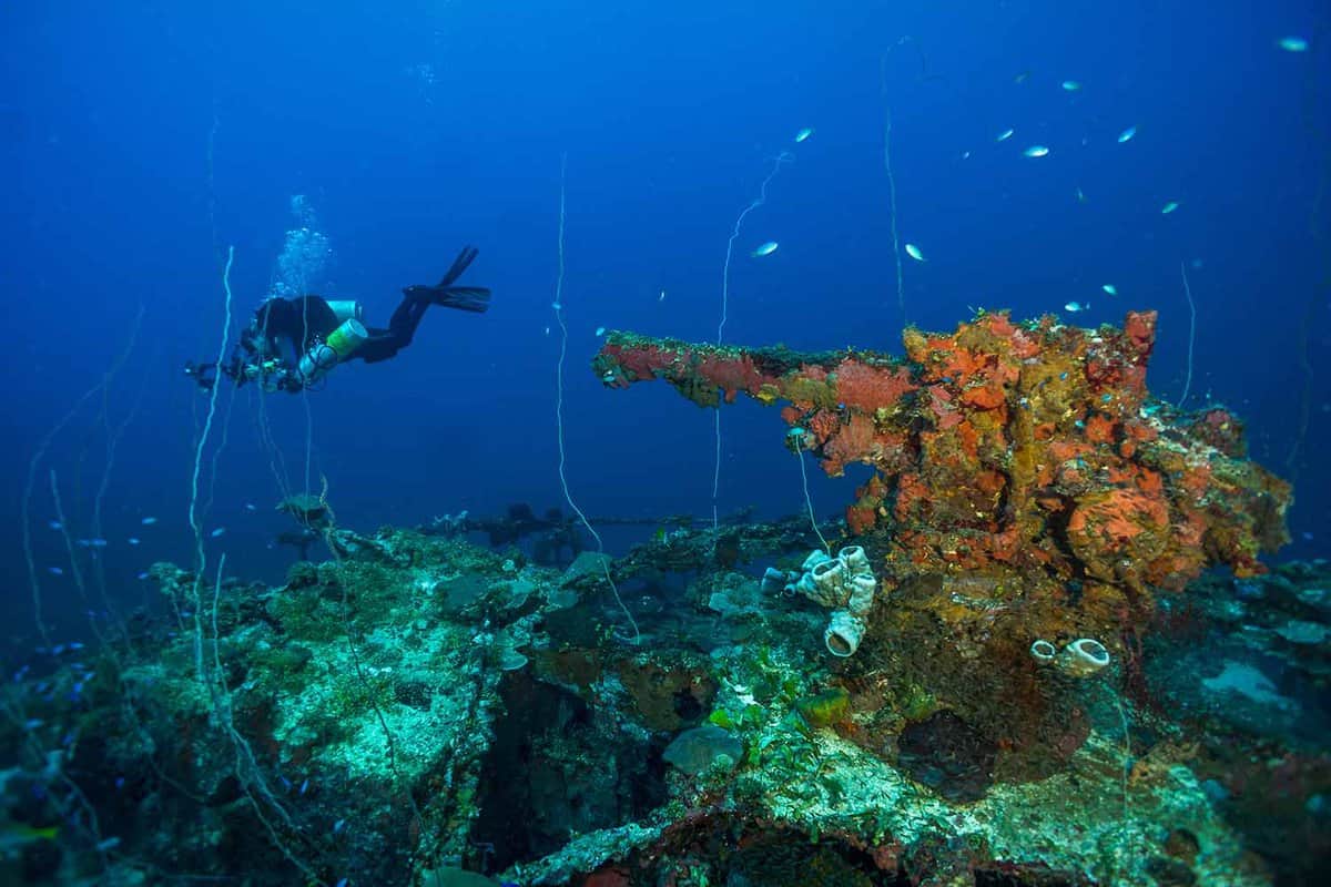 Sunken ship stern gun with diver at Chuuk Lagoon, Micronesia