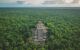 Temple top surrounded by a sea of rainforest